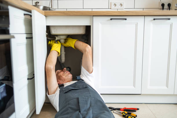 Best Plumbing Inspection Services  in Mcclure, PA